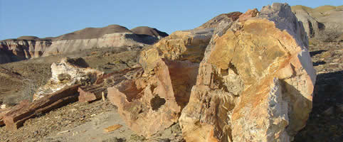 Patagonia de las Mesetas