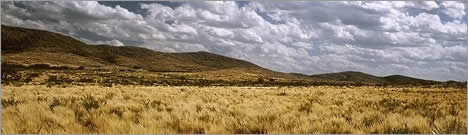 Parque Nacional Lihue Calel en La Pampa